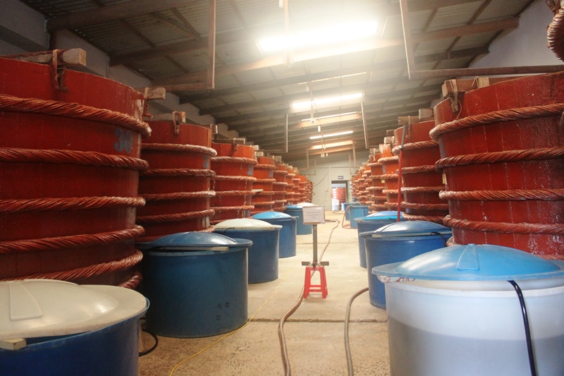 Giant wooden barrel for preserving fish sauce