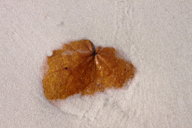 White Sandy Sao Beach