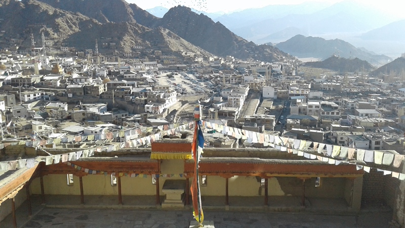 Leh city view